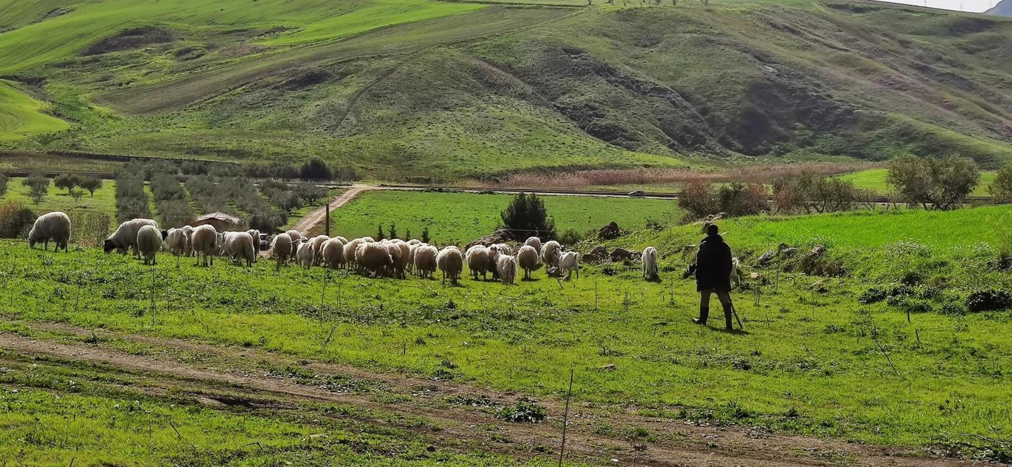 B&B Della Via Francigena Agrigento Dış mekan fotoğraf