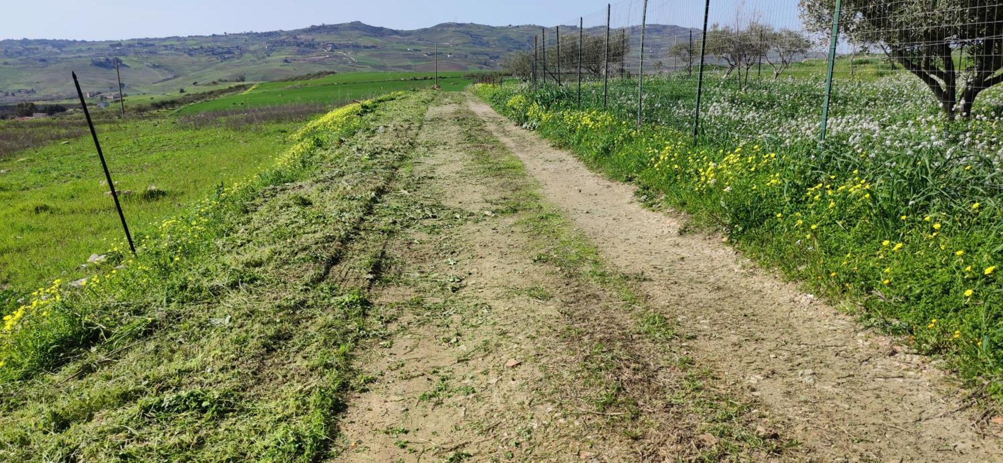 B&B Della Via Francigena Agrigento Dış mekan fotoğraf